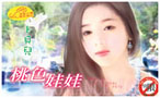 桃色娃娃封面图