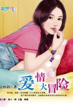 爱情大冒险封面图